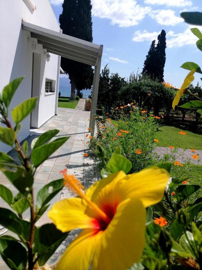 Epidaurus Villa Maria מראה חיצוני תמונה