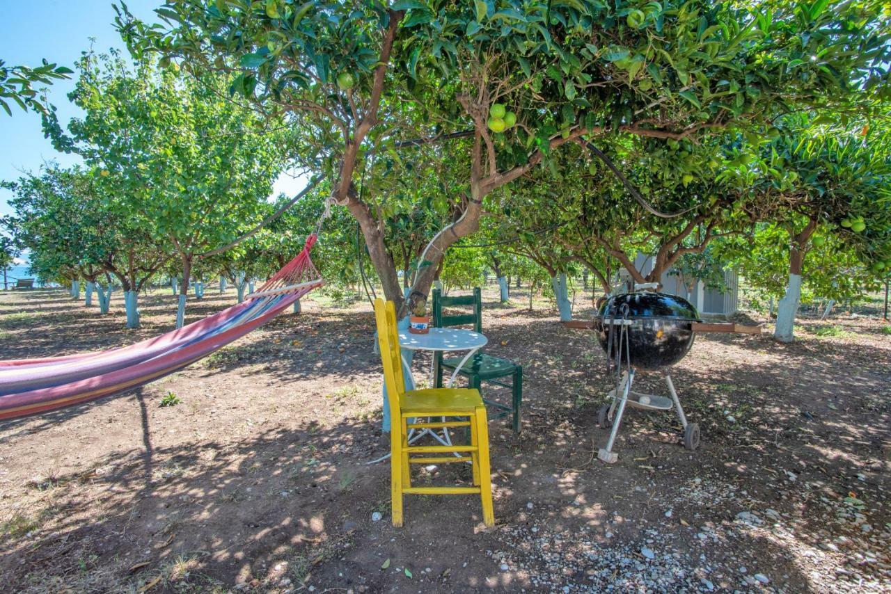 Epidaurus Villa Maria מראה חיצוני תמונה
